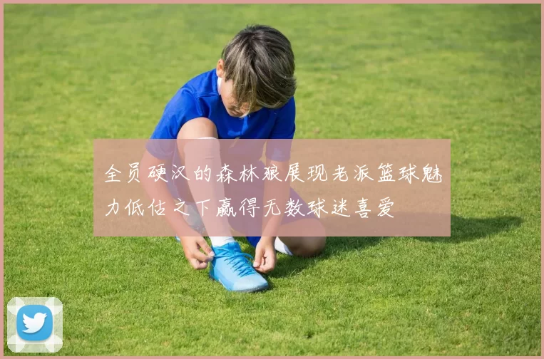 全员硬汉的森林狼展现老派篮球魅力低估之下赢得无数球迷喜爱
